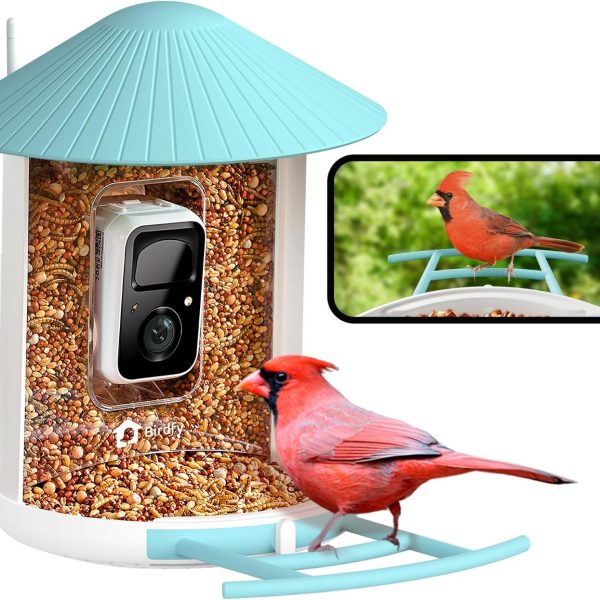 Birdfy Feeder